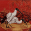 Auction by "Paris Enchères Collin du Bocage SVV" du 14/05/2014 - Ibis à tête noire du Nil  (lot n°26)
